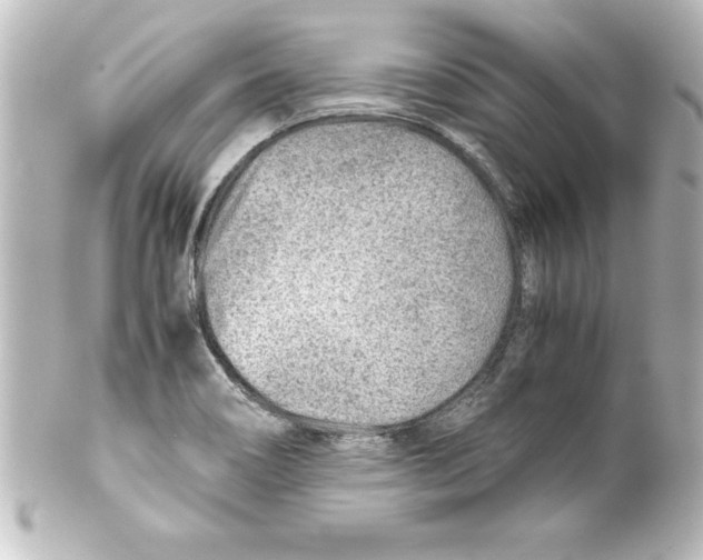 X0000100191466200806271607