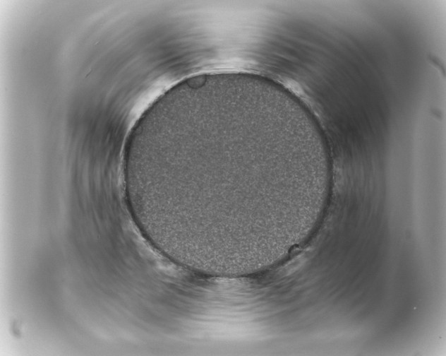 X0000100191469200806271607