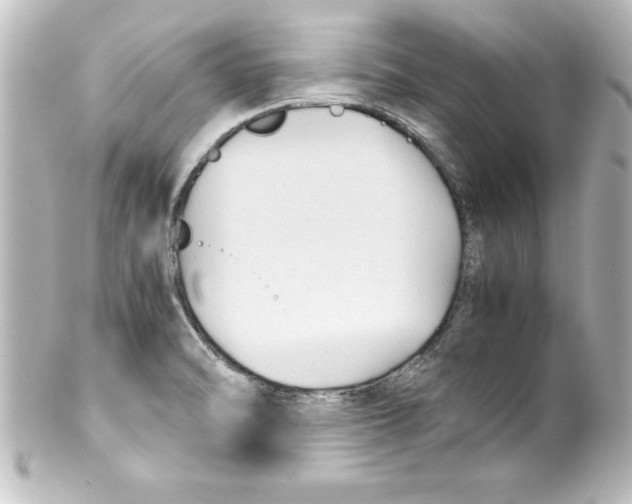X0000100191470200806271607