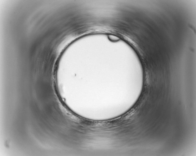 X0000100191471200806271607