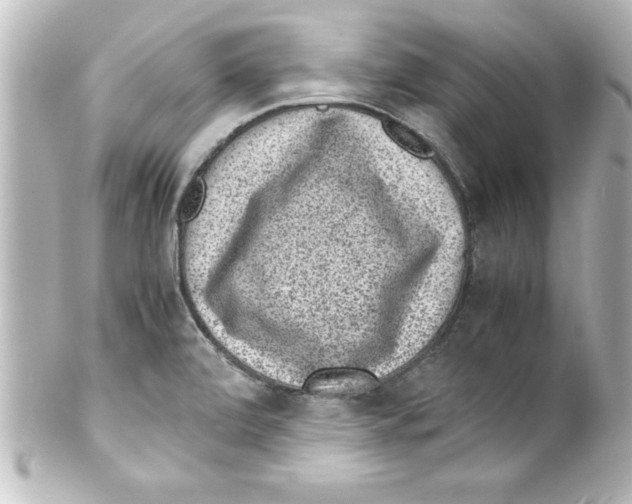 X0000100191472200806271607