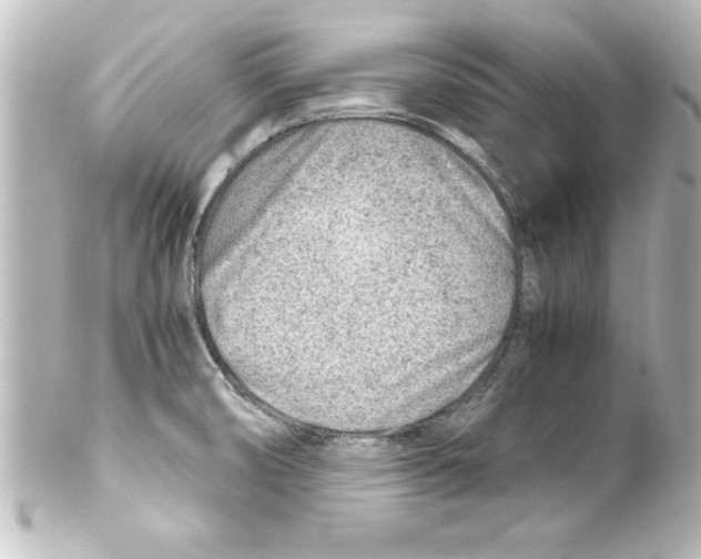 X0000100191474200806271607