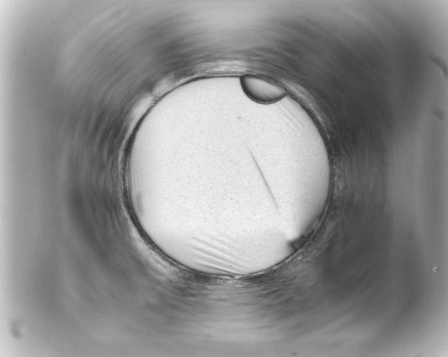 X0000100191475200806271607