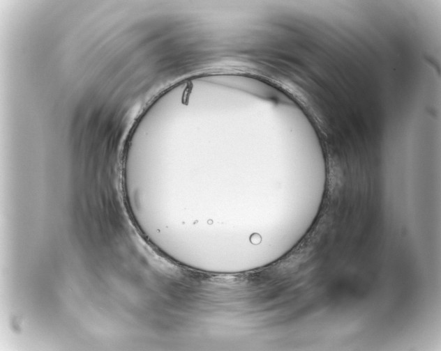 X0000100191478200806271607
