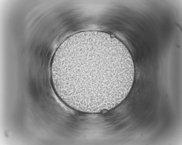 X0000100191479200806271607
