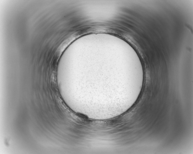 X0000100191481200806271607