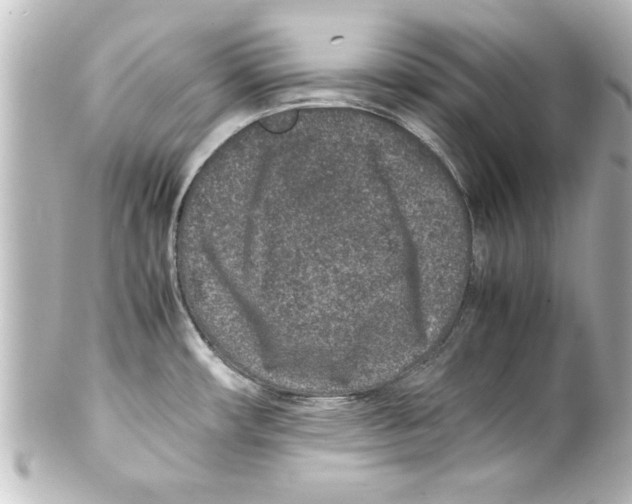 X0000100191482200806271607