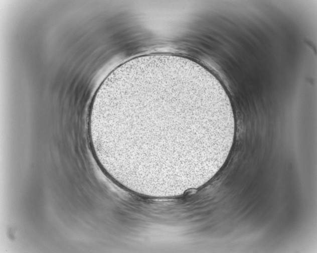 X0000100191483200806271607