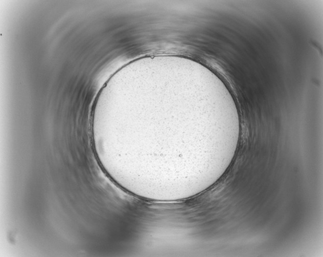 X0000100191487200806271607