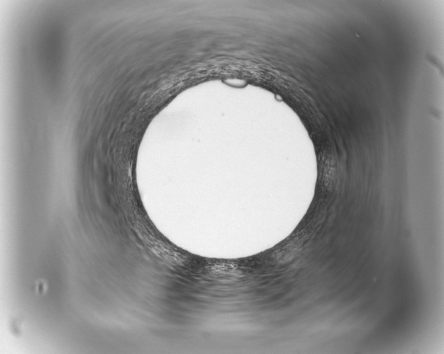 X0000100191489200806271606