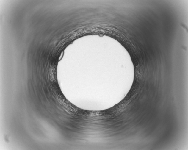 X0000100191490200806271606