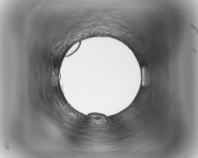 X0000100191491200806271606