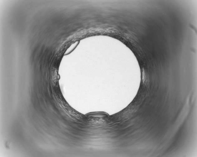 X0000100191492200806271606