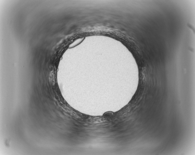 X0000100191493200806271606