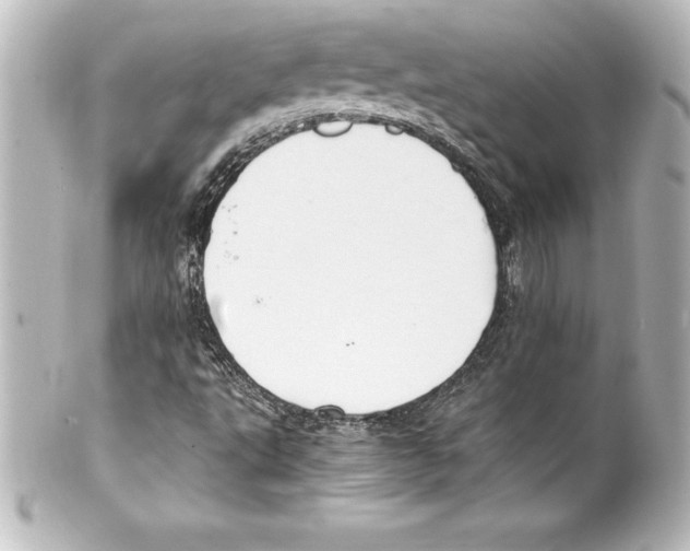 X0000100191495200806271606