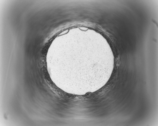 X0000100191496200806271606