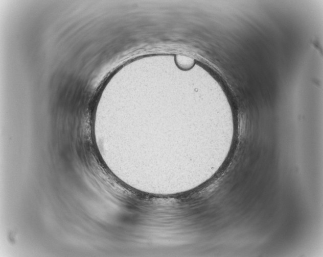 X0000100191498200806271606