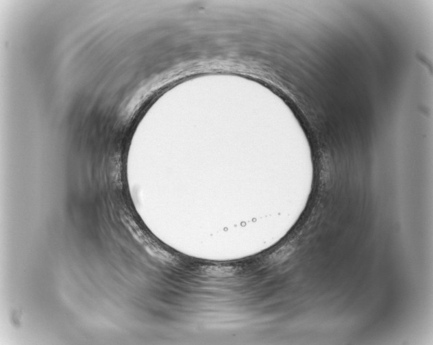X0000100191499200806271606