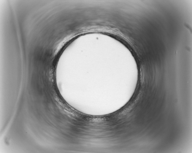 X0000100191501200806271606