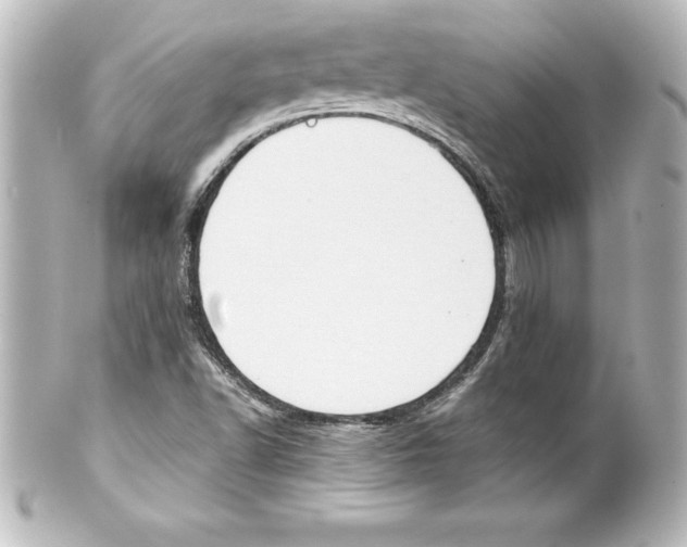 X0000100191502200806271606