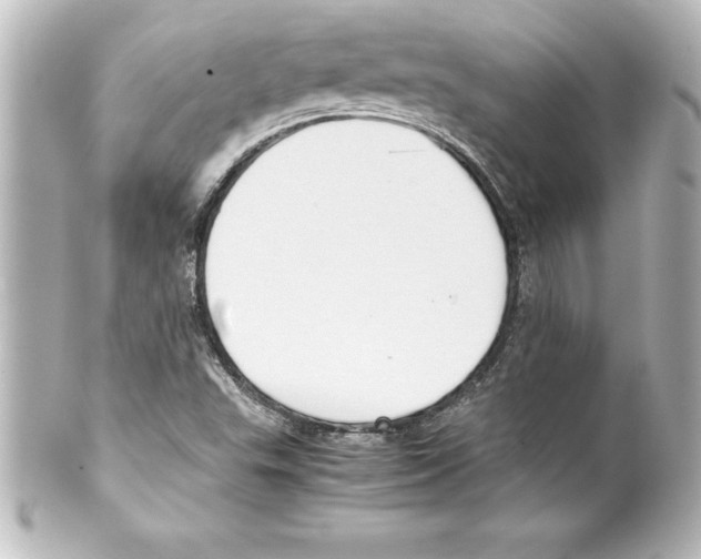 X0000100191503200806271606