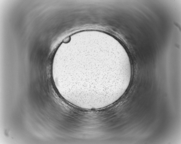 X0000100191504200806271606