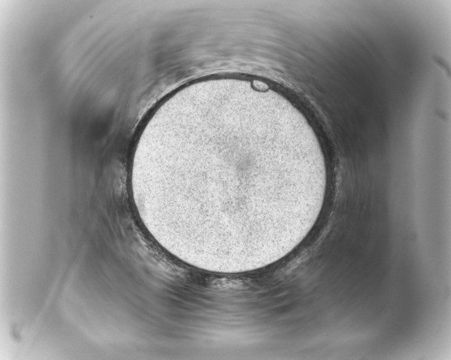 X0000100191505200806271606