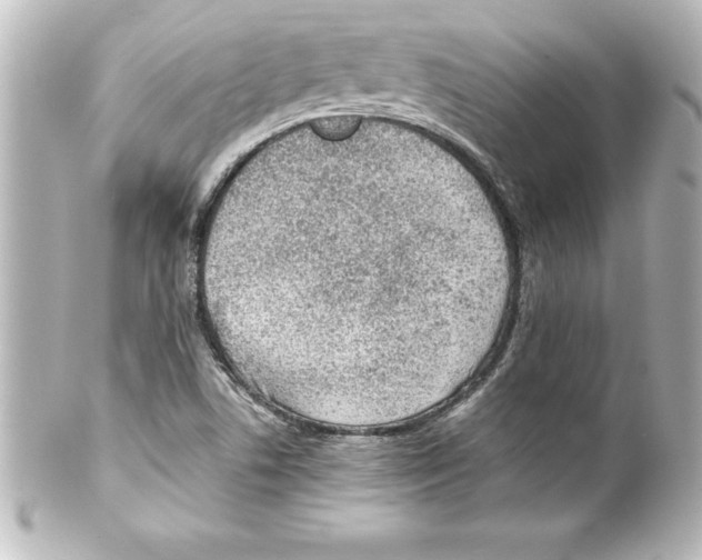 X0000100191506200806271606