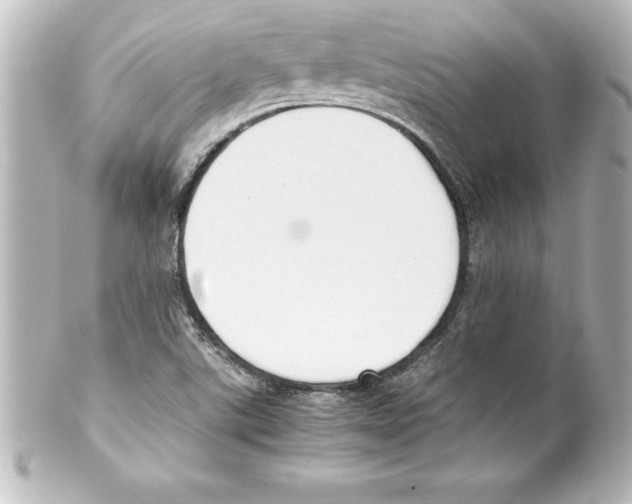 X0000100191507200806271606