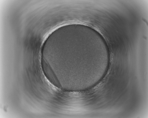 X0000100191508200806271606