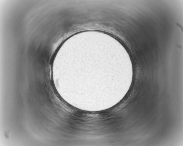 X0000100191509200806271606