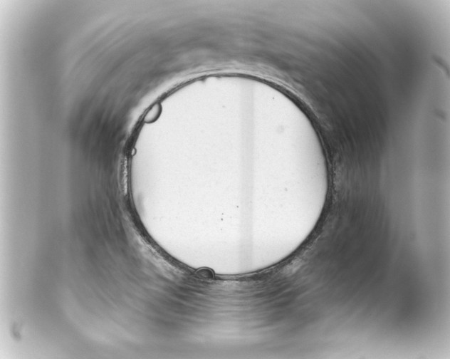 X0000100191510200806271606