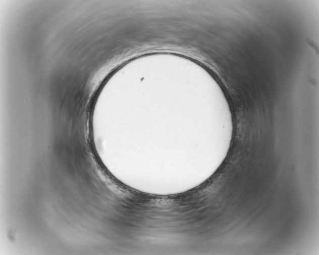X0000100191511200806271606