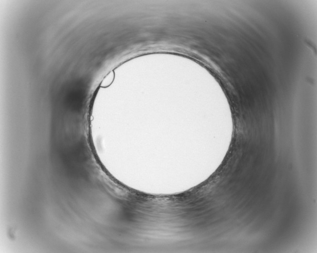 X0000100191512200806271606