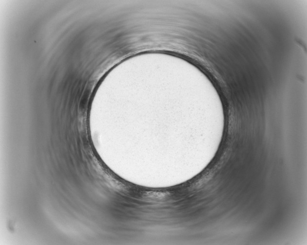 X0000100191513200806271606
