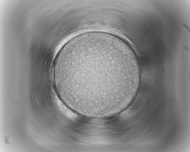 X0000100191514200806271606