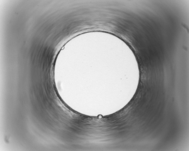 X0000100191516200806271606