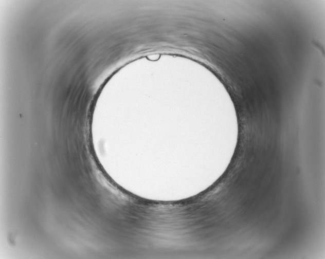 X0000100191518200806271606