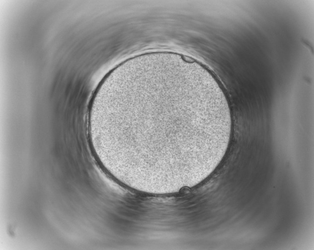 X0000100191519200806271606