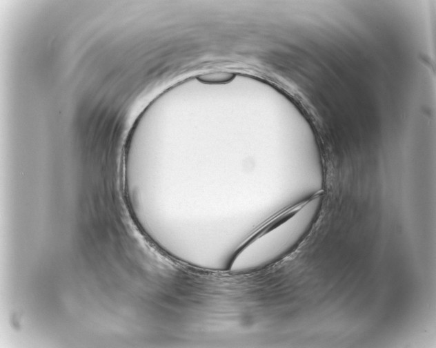 X0000100191520200806271606