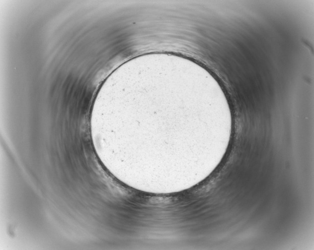 X0000100191521200806271606