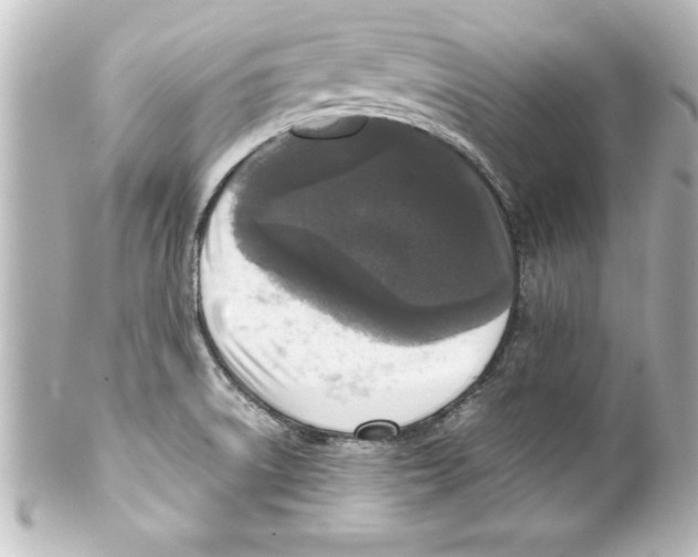 X0000100191522200806271606