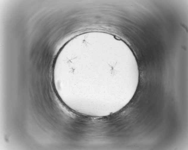 X0000100191523200806271606