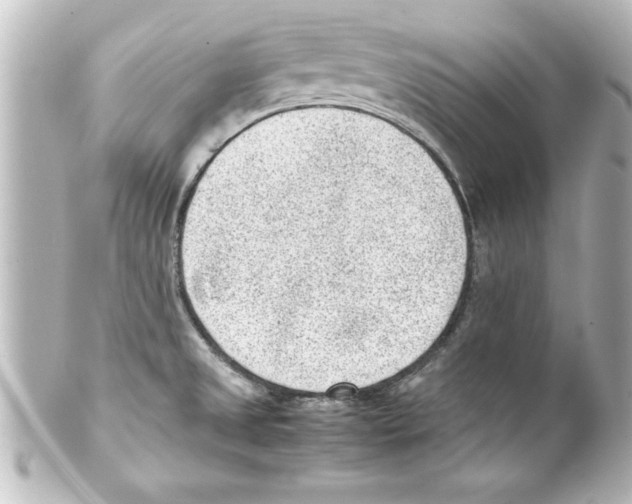 X0000100191525200806271606