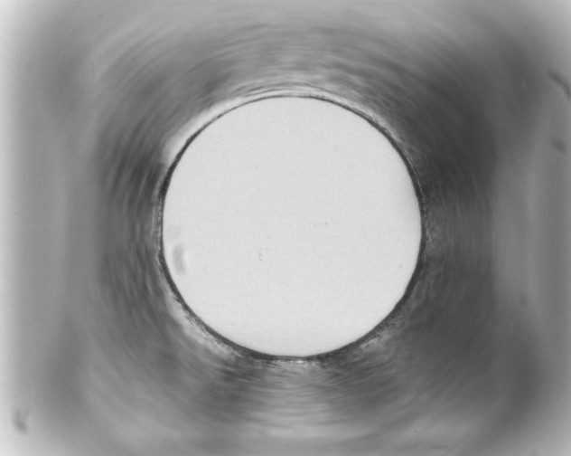 X0000100191526200806271606