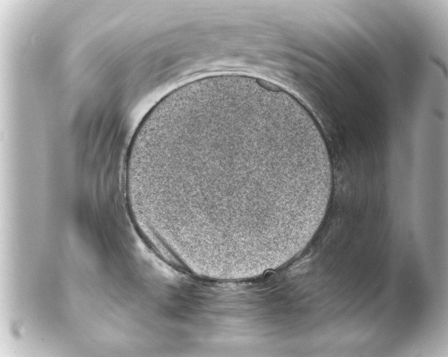 X0000100191527200806271606