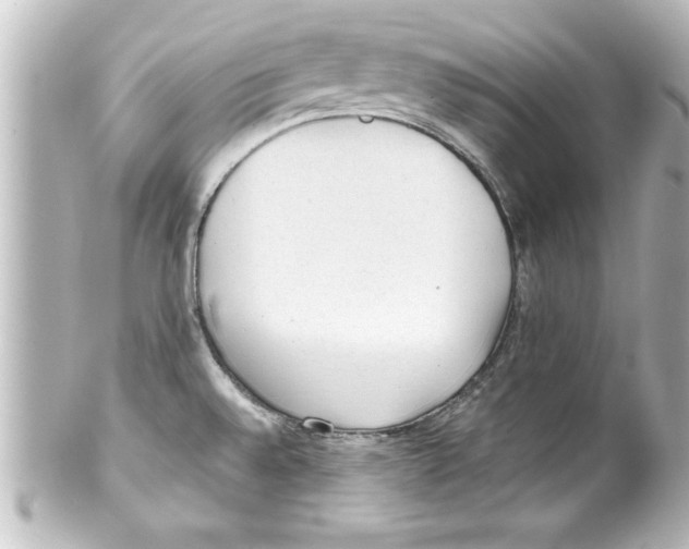 X0000100191528200806271606