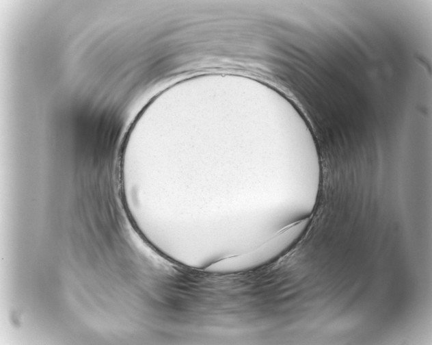X0000100191531200806271606