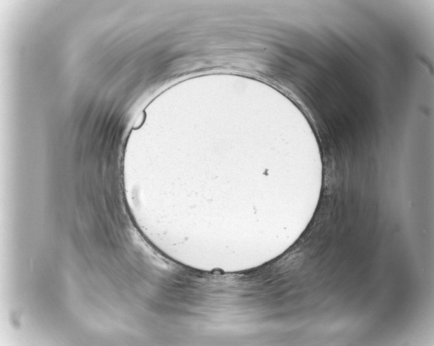 X0000100191532200806271606