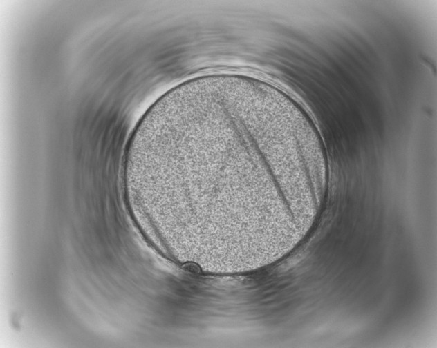 X0000100191533200806271607